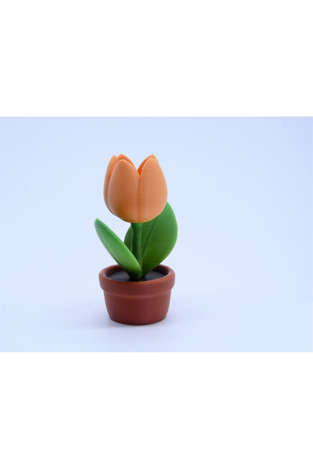 2'li 1/12 Ölçek 2cm Uzunluk Saksılı Lale Maketi Dekoratif Obje - Görsel 3