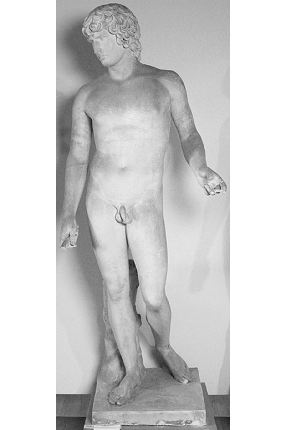 Antik Antinous Farnese Büst Heykel Biblo 15cm - Görsel 5